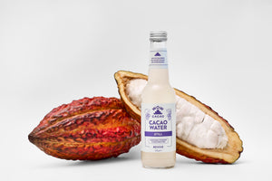 Still Cacao Water (12 x 275 ml)