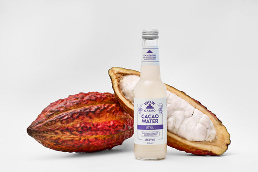 Still Cacao Water (12 x 275 ml)